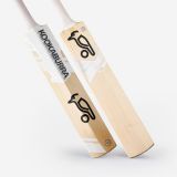 GHOST LITE CRICKET BAT SHORT HANDLE